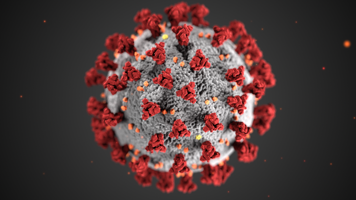Image of the coronavirus from the Centers for Disease control.